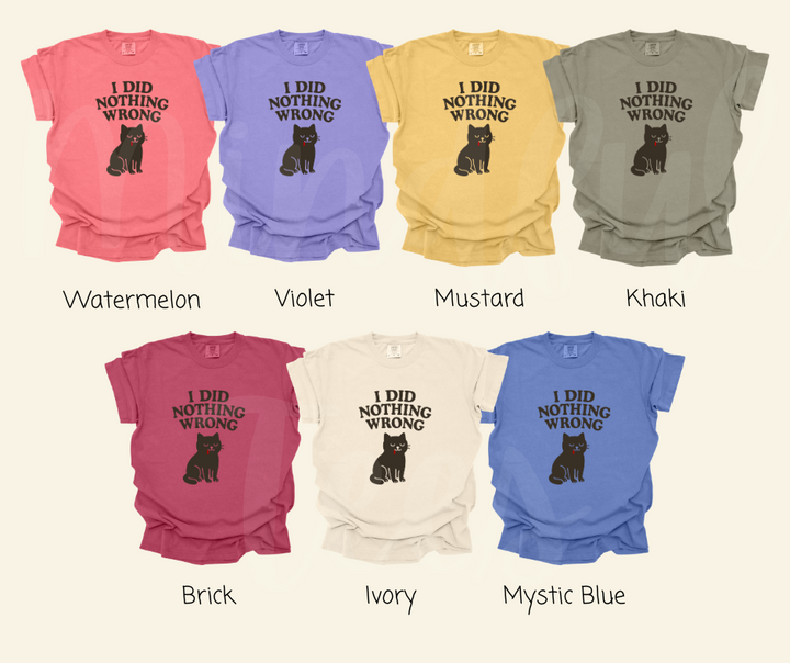 "I Did Nothing Wrong" Sarcastic Cat Design Unisex heavyweight t-shirt