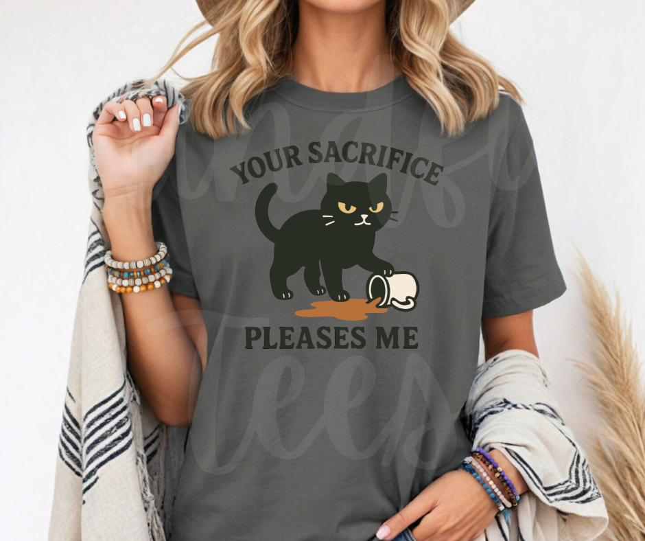 "Your Sacrifice Pleases Me" Sarcastic Cat Design Unisex heavyweight t-shirt