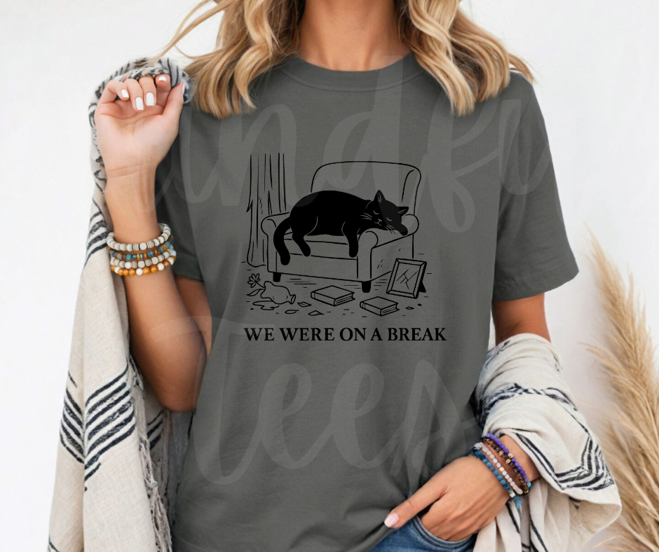 "We Were On A Break" Sarcastic Design Friends Inspired Unisex heavyweight t-shirt