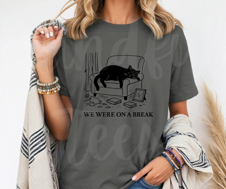 "We Were On A Break" Sarcastic Design Friends Inspired Unisex heavyweight t-shirt