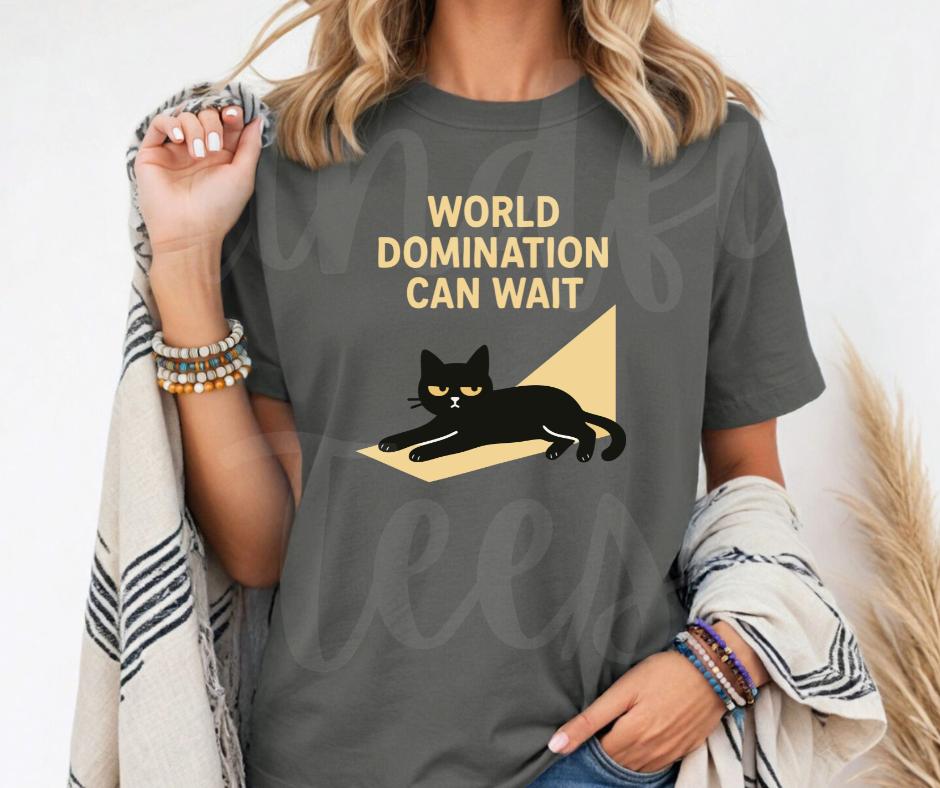 "World Domination Can Wait" Sarcastic Cat Design Unisex heavyweight t-shirt