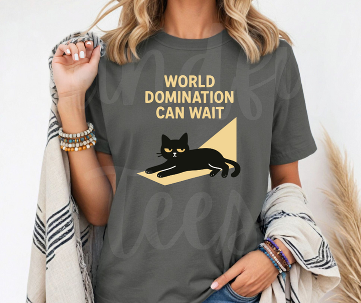 "World Domination Can Wait" Sarcastic Cat Design Unisex heavyweight t-shirt
