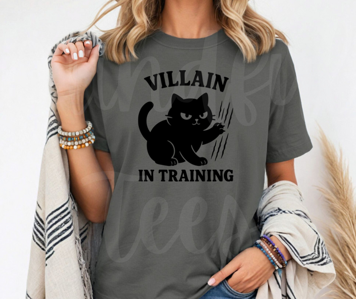 "Villain In Training" Sarcastic Cat Design Unisex heavyweight t-shirt