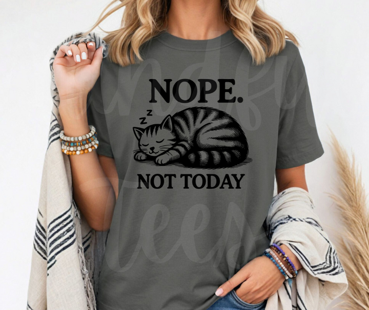 "Not Today" Sarcastic Cat Design Unisex heavyweight t-shirt