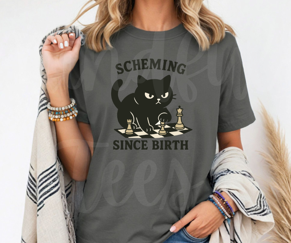 "Scheming" Sarcastic Cat Design Unisex heavyweight t-shirt