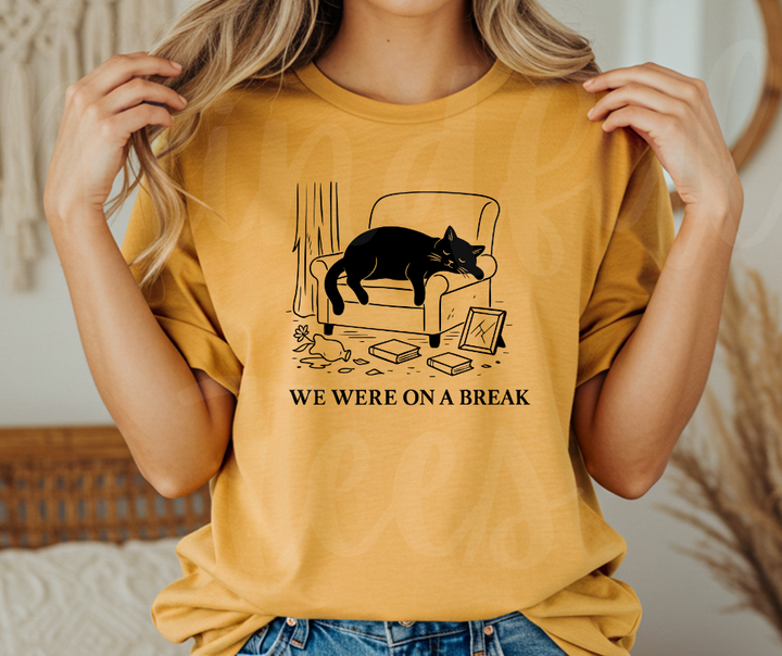 "We Were On A Break" Sarcastic Design Friends Inspired Unisex heavyweight t-shirt
