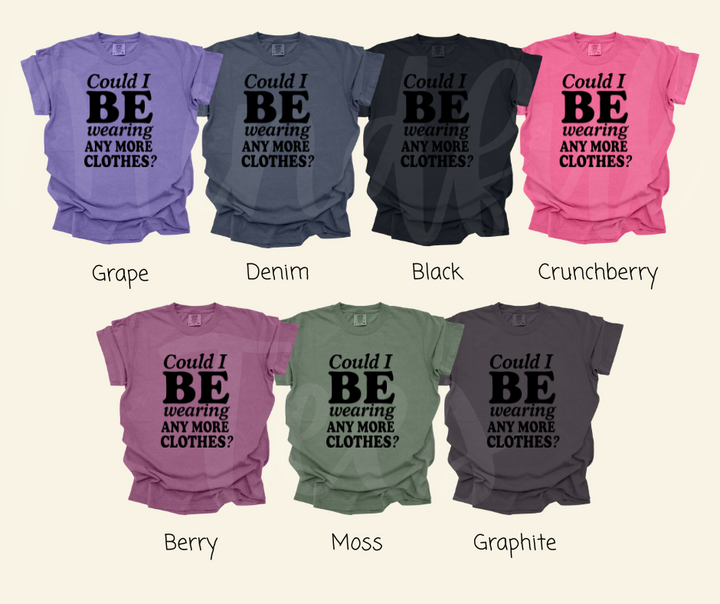 "Could I BE?" Sarcastic Design Friends Inspired Unisex heavyweight t-shirt
