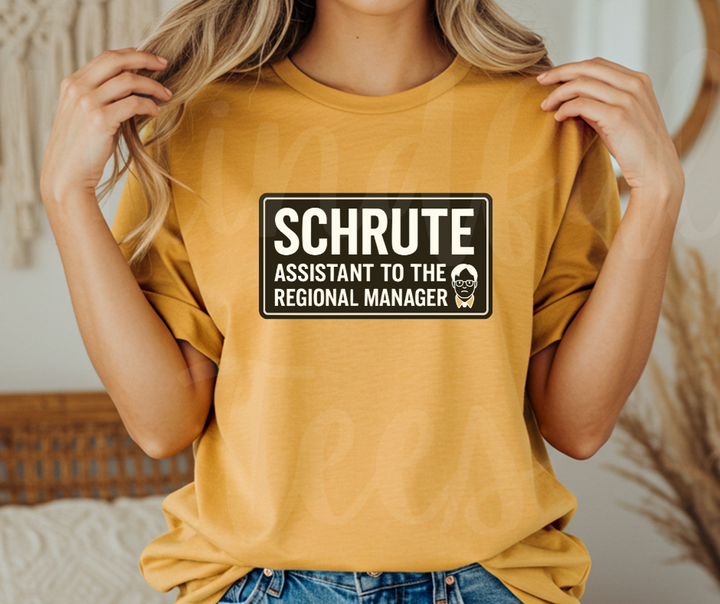 "Assistant To The Regional Manager" Sarcastic Design The Office Inspired Unisex heavyweight t-shirt