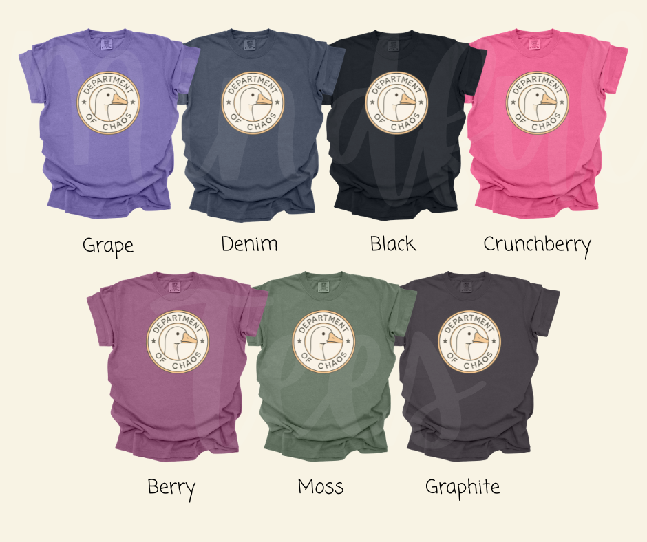 "Department of Chaos" Sarcastic Design Unisex heavyweight t-shirt