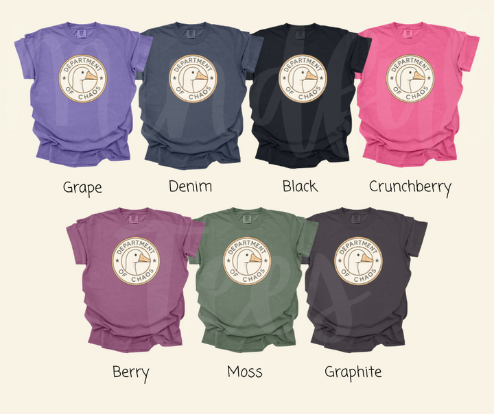 "Department of Chaos" Sarcastic Design Unisex heavyweight t-shirt