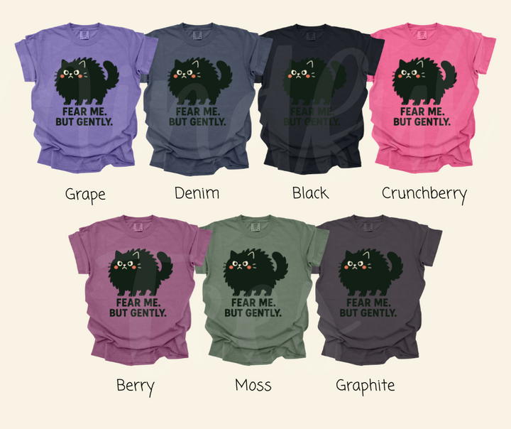 "Fear Me" Sarcastic Cat Design Unisex heavyweight t-shirt
