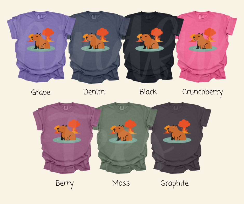 "Explosive Capybara" Sarcastic Design Unisex heavyweight t-shirt