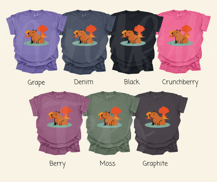 "Explosive Capybara" Sarcastic Design Unisex heavyweight t-shirt