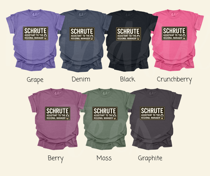 "Assistant To The Regional Manager" Sarcastic Design The Office Inspired Unisex heavyweight t-shirt