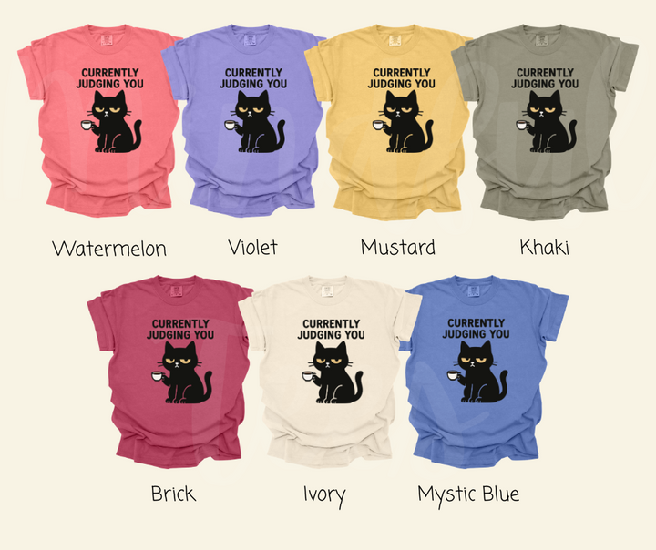 "Judging You" Sarcastic Cat Design Unisex heavyweight t-shirt