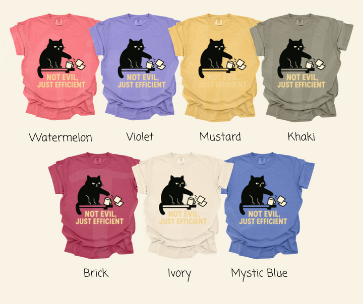 "Not Evil" Sarcastic Cat Design Unisex heavyweight t-shirt