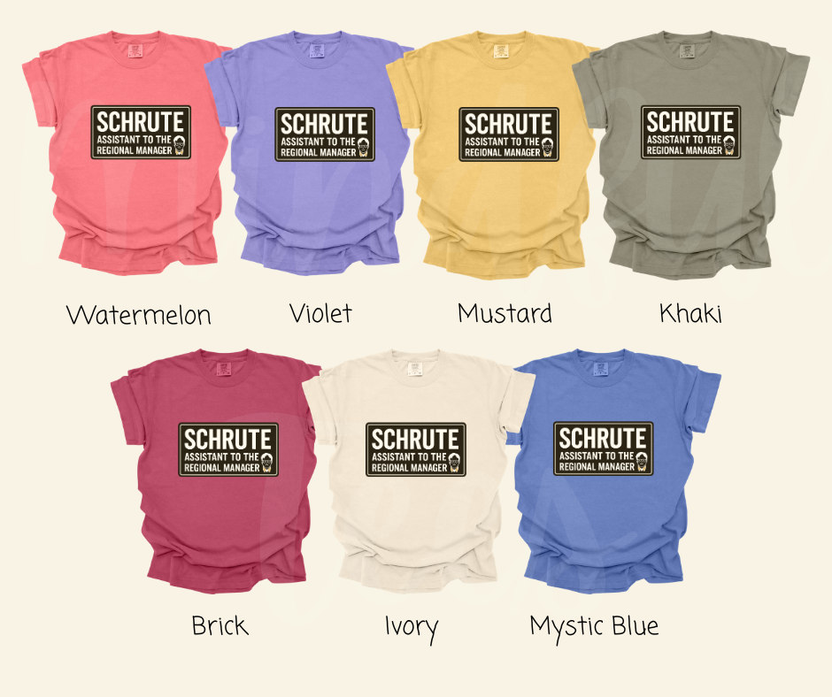 "Assistant To The Regional Manager" Sarcastic Design The Office Inspired Unisex heavyweight t-shirt