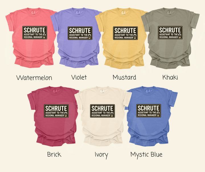 "Assistant To The Regional Manager" Sarcastic Design The Office Inspired Unisex heavyweight t-shirt