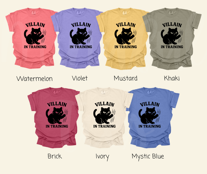 "Villain In Training" Sarcastic Cat Design Unisex heavyweight t-shirt