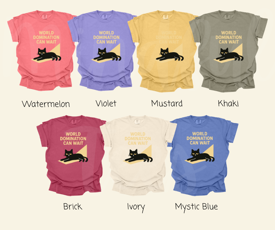 "World Domination Can Wait" Sarcastic Cat Design Unisex heavyweight t-shirt
