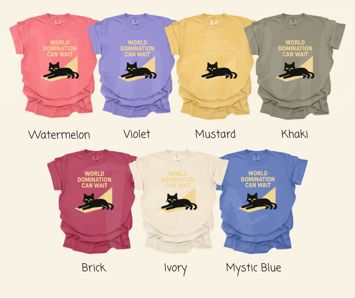 "World Domination Can Wait" Sarcastic Cat Design Unisex heavyweight t-shirt