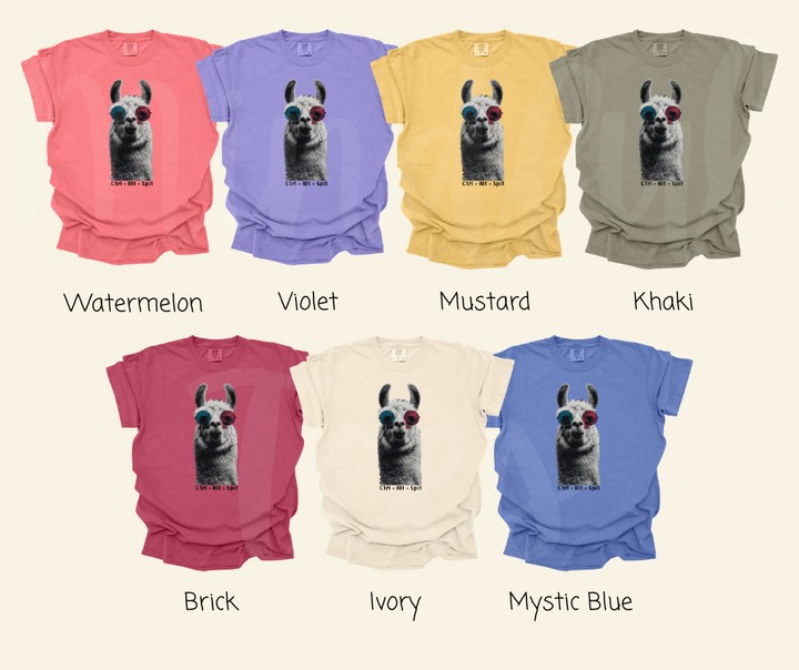 "Alt+Ctrl+Spit" Sarcastic Design Unisex heavyweight t-shirt