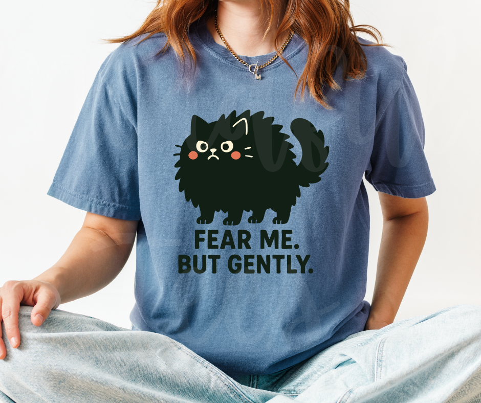 "Fear Me" Sarcastic Cat Design Unisex heavyweight t-shirt