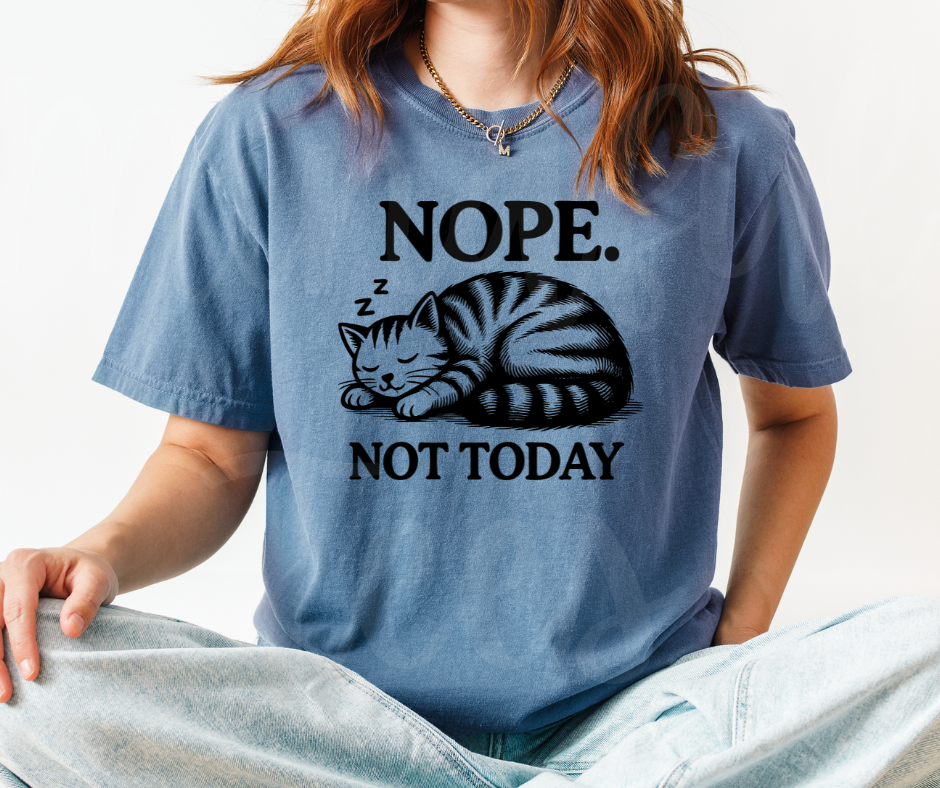 "Not Today" Sarcastic Cat Design Unisex heavyweight t-shirt