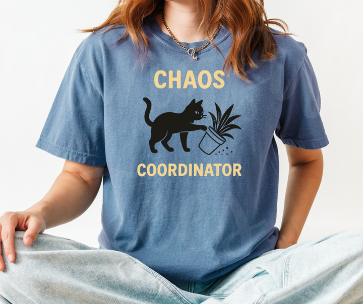 "Chaos Cordinator" Sarcastic Cat Design Unisex heavyweight t-shirt