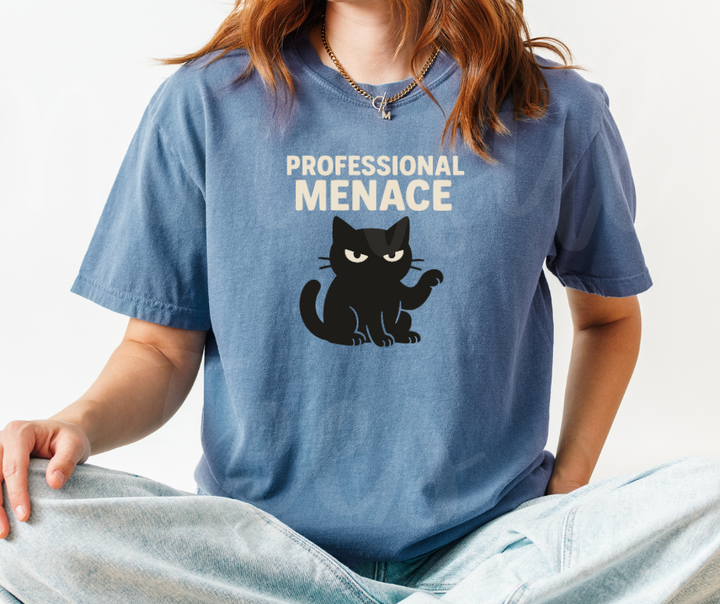 "Professional Menace" Sarcastic Cat Design Unisex heavyweight t-shirt