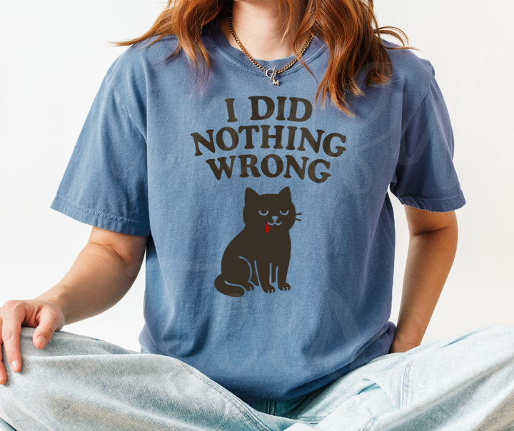 "I Did Nothing Wrong" Sarcastic Cat Design Unisex heavyweight t-shirt