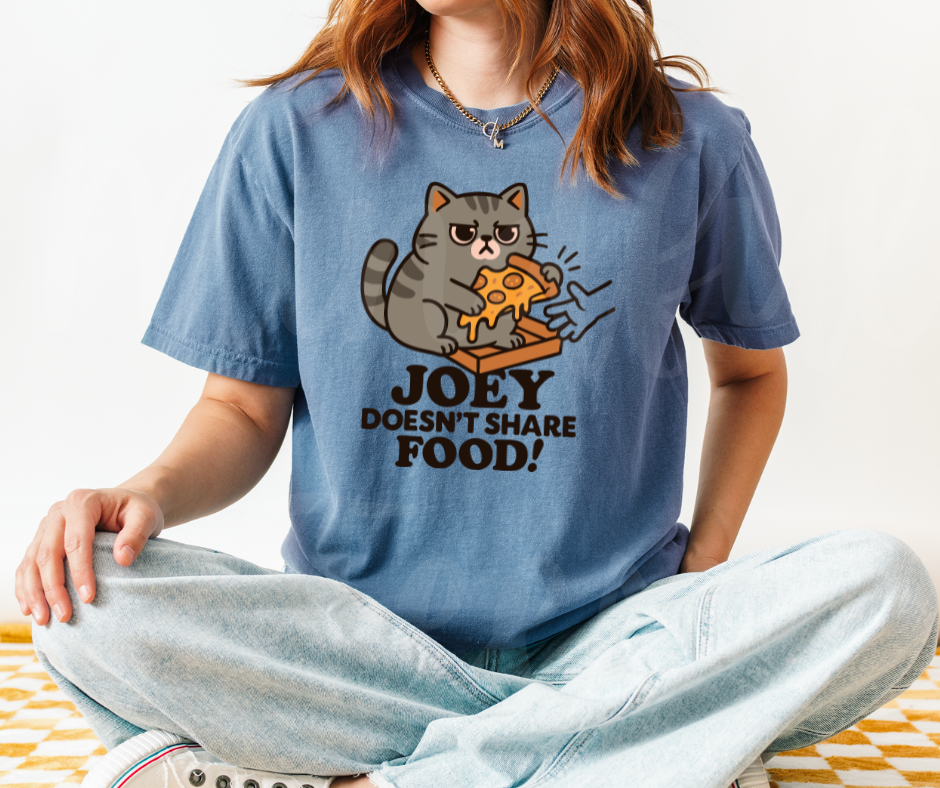 "Joey Doesn't Share Food" Sarcastic Design Friends Inspired Unisex heavyweight t-shirt