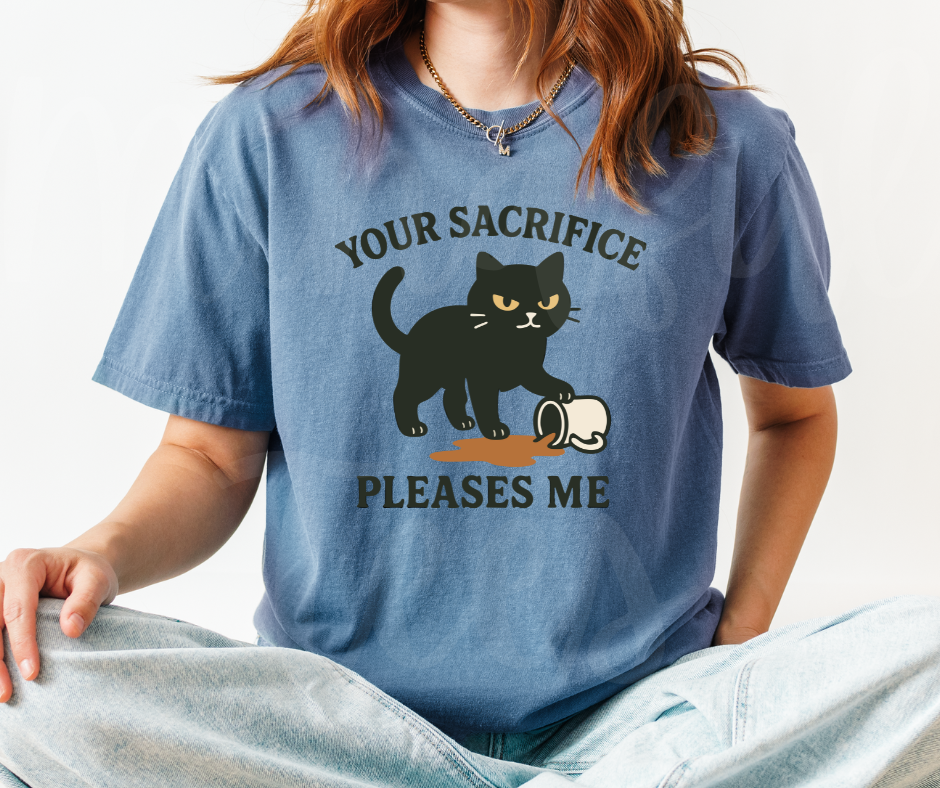 "Your Sacrifice Pleases Me" Sarcastic Cat Design Unisex heavyweight t-shirt