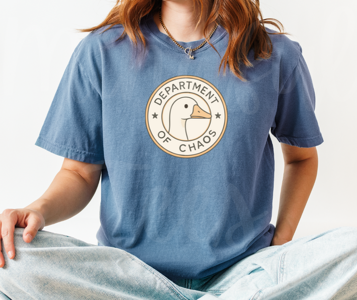 "Department of Chaos" Sarcastic Design Unisex heavyweight t-shirt