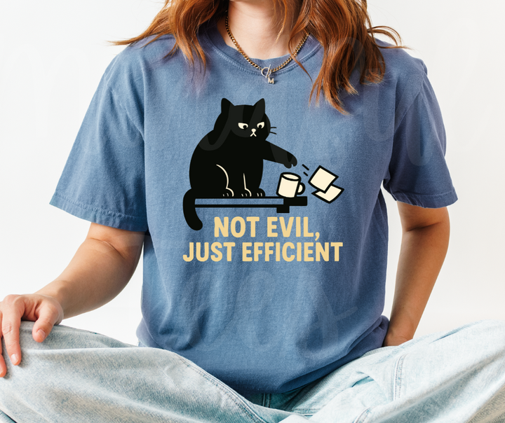 "Not Evil" Sarcastic Cat Design Unisex heavyweight t-shirt