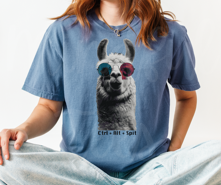 "Alt+Ctrl+Spit" Sarcastic Design Unisex heavyweight t-shirt