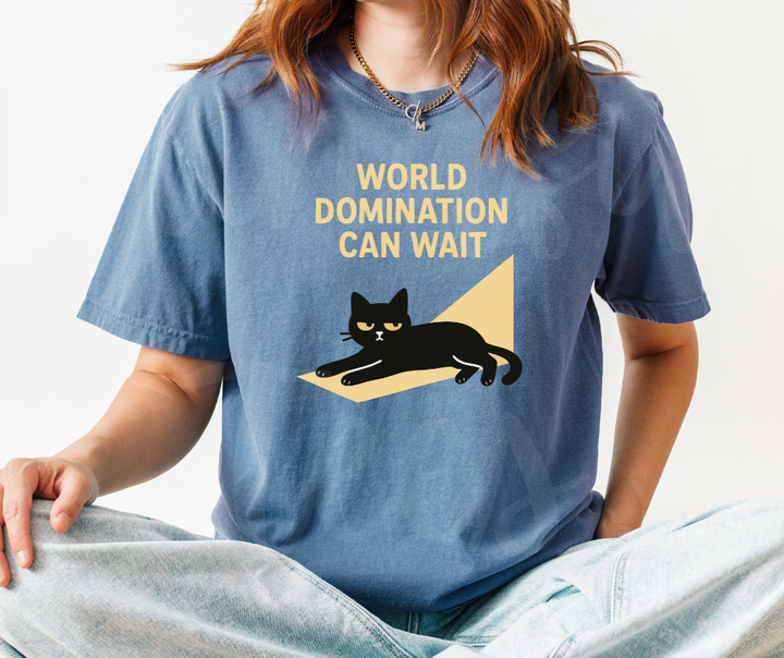 "World Domination Can Wait" Sarcastic Cat Design Unisex heavyweight t-shirt