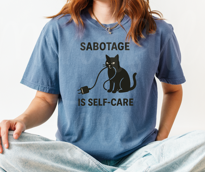 "Self Care" Sarcastic Cat Design Unisex heavyweight t-shirt