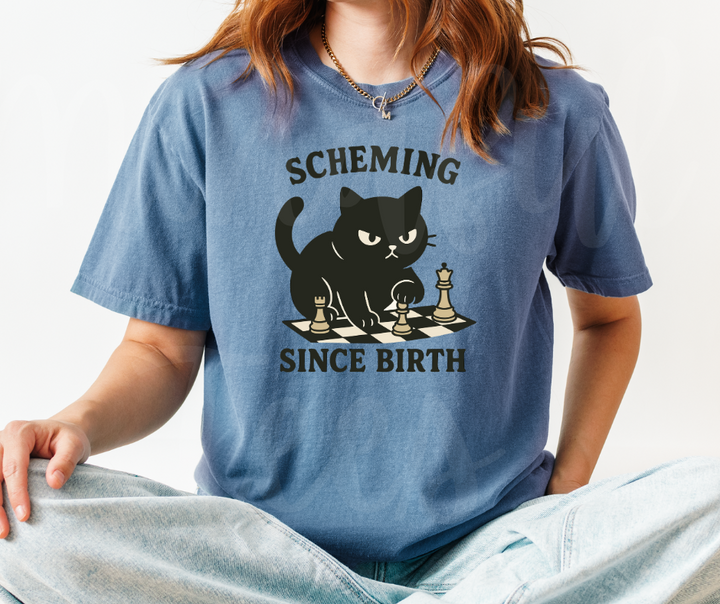 "Scheming" Sarcastic Cat Design Unisex heavyweight t-shirt