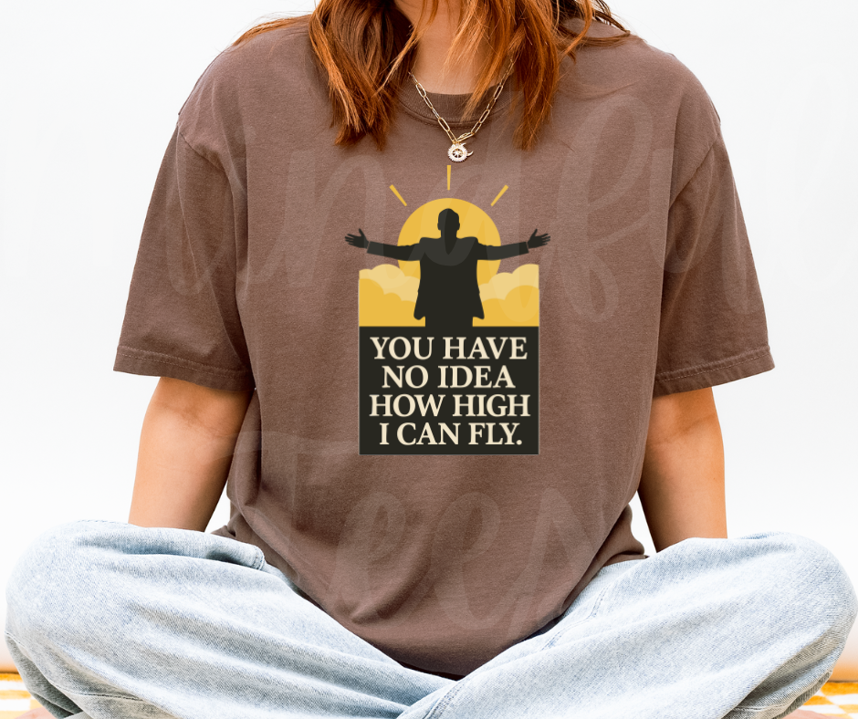 "You Have No Idea" Sarcastic Design The Office Inspired Unisex heavyweight t-shirt