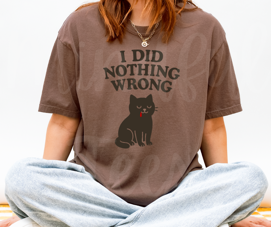 "I Did Nothing Wrong" Sarcastic Cat Design Unisex heavyweight t-shirt