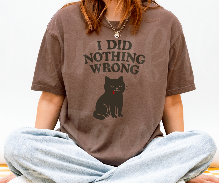 "I Did Nothing Wrong" Sarcastic Cat Design Unisex heavyweight t-shirt