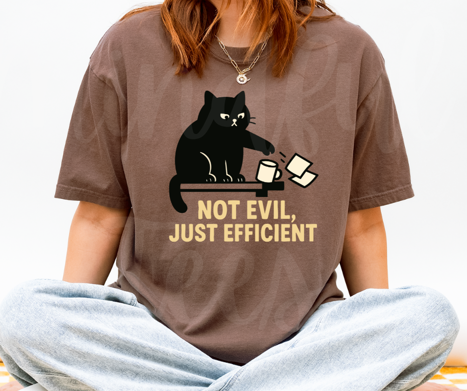 "Not Evil" Sarcastic Cat Design Unisex heavyweight t-shirt