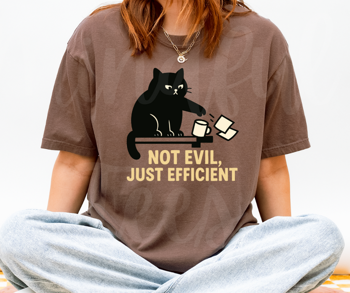 "Not Evil" Sarcastic Cat Design Unisex heavyweight t-shirt