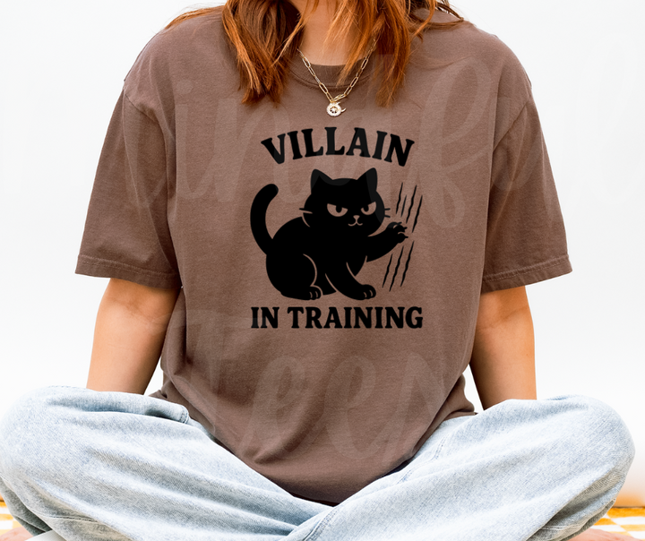 "Villain In Training" Sarcastic Cat Design Unisex heavyweight t-shirt