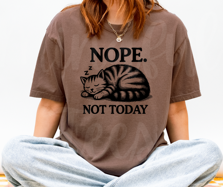 "Not Today" Sarcastic Cat Design Unisex heavyweight t-shirt