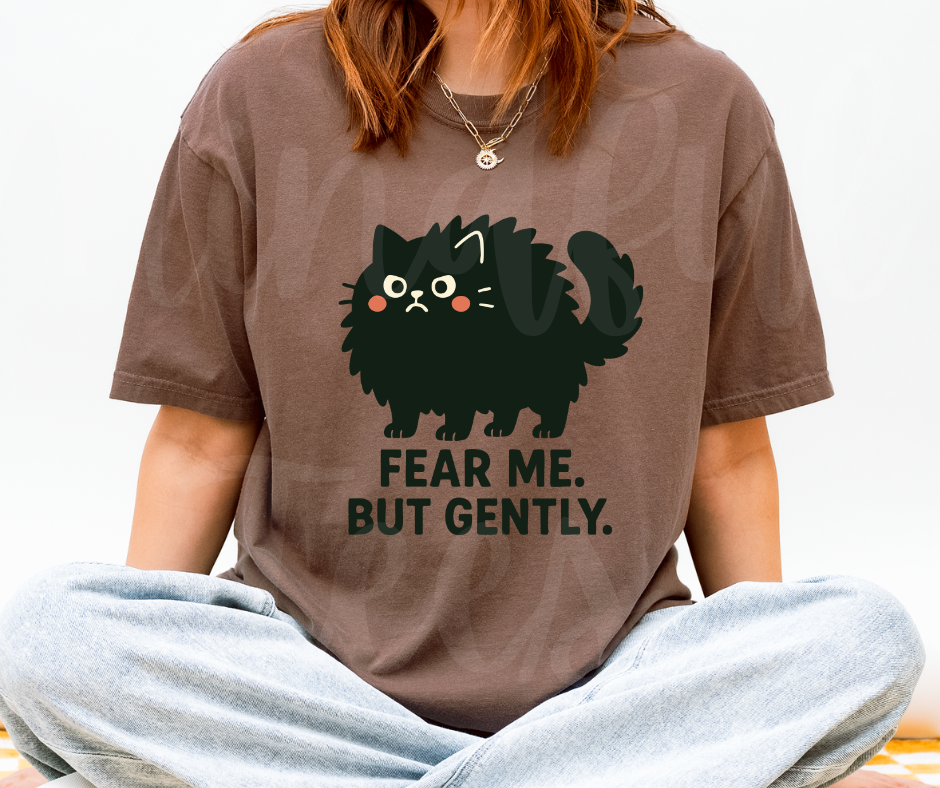 "Fear Me" Sarcastic Cat Design Unisex heavyweight t-shirt