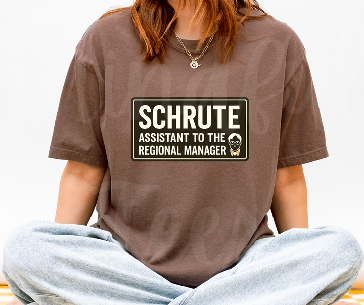 "Assistant To The Regional Manager" Sarcastic Design The Office Inspired Unisex heavyweight t-shirt