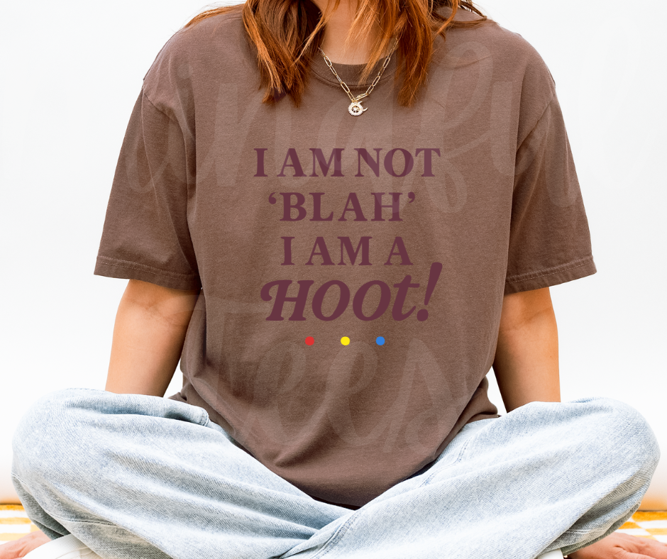 "I Am A Hoot!" Sarcastic Design Friends Inspired Unisex heavyweight t-shirt