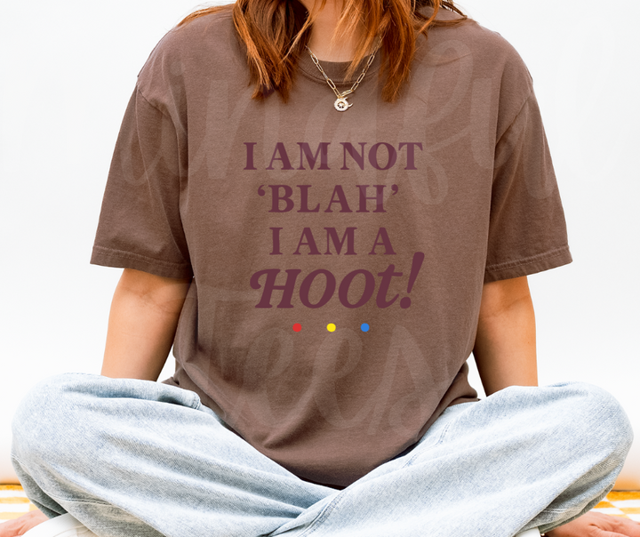 "I Am A Hoot!" Sarcastic Design Friends Inspired Unisex heavyweight t-shirt